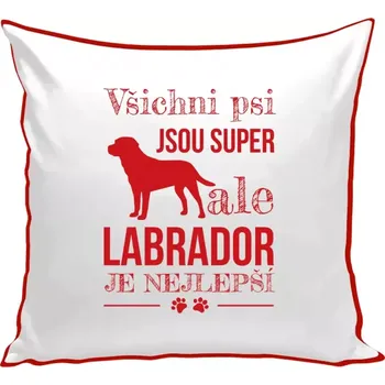 Polštář Polštář barevný 32x32 cm Labrador je nejlepší