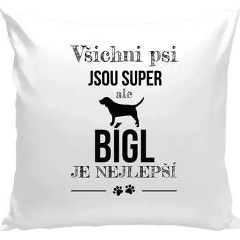 Polštář Polštář bílý 40x40 cm Bígl je nejlepší