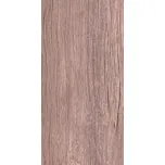 Cerrad Slinutá dlažba Betulla Brown, 300 × 600 mm, matná