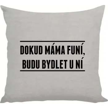 Polštář Polštář lněný 40x40 cm Dokud máma funí, budu bydlet u ní