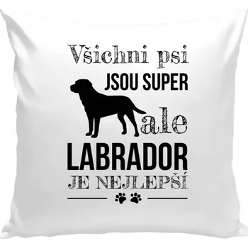 Polštář Polštář bílý 40x40 cm Labrador je nejlepší