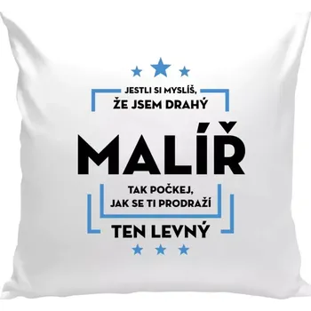 Polštář Polštář bílý 40x40 cm Jestli si myslíš , že jsem drahý - malíř
