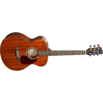 Strunný nástroj Brunswick GA BF200M