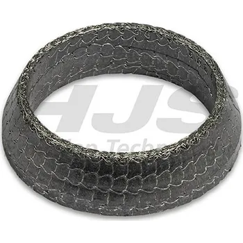 Těsnění výfuku Těsnicí kroužek, výfuková trubka HJS 83 12 2161