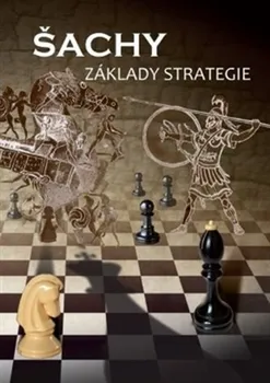 Šachy: Základy strategie - Richard Biolek a kol. (2015, brožovaná)