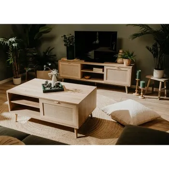 Televizní stolek TV stolek BALI. Dub sonoma