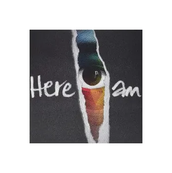 Zahraniční hudba Here I Am / Vinyl / 2LP - Groundation [2 LP]