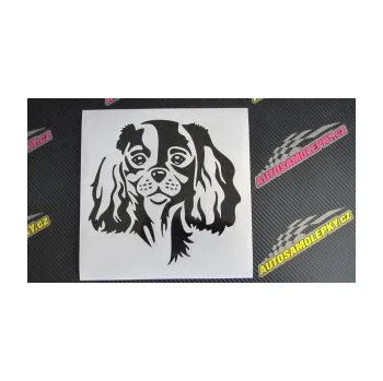 Polep vozidla Pes 132 pravá Cavalier king Charles spaniel (17 - šedá) SAMOLEPKA NA AUTO, NÁLEPKA, FÓLIE, POLEP, TUNING, VLASTNÍ TEXT, TISK, AUTOSAMOLEPKY.cz, POLEPY, OBRÁZEK, LOGO, 3D STICKERS
