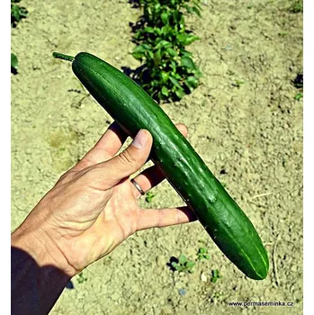 RC model auta Gergana