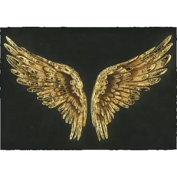 Obraz Ručně malovaný obraz Golden Wings 70x100 cm