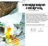 Pankáč z pětihvězdy: Nejlepší recepty street foodu - Radek Příhonský, Lenny Trčková (2023, brožovaná)