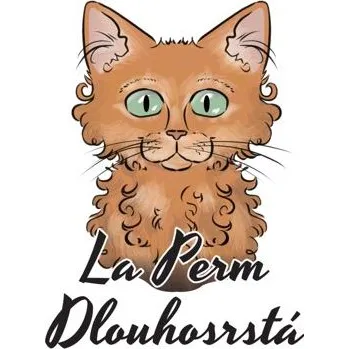 Samolepicí dekorace na vozidlo Samolepka na auto LA PERM DLOUHOSRSTÁ
