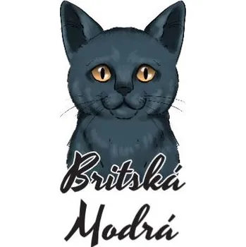 Samolepicí dekorace na vozidlo Samolepka na auto BRITSKÁ MODRÁ