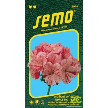 Semeno SEMO Muškát páskatý - Horizon Ripple Raspberry 11s