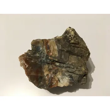 Opál dřevitý 219 gramů