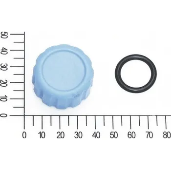 Čerpadlo Vypouštěcí šroub s O kroužkem pro FQ-GP 3.200 zahradní čerpadlo (5813015)
