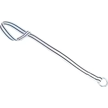 Náhradní popruh pro zadní navijáky na paznehty pro skot PASDELOU 38 mm x 1 m