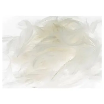 Set školních potřeb Pióra białe 5-12cm 7g