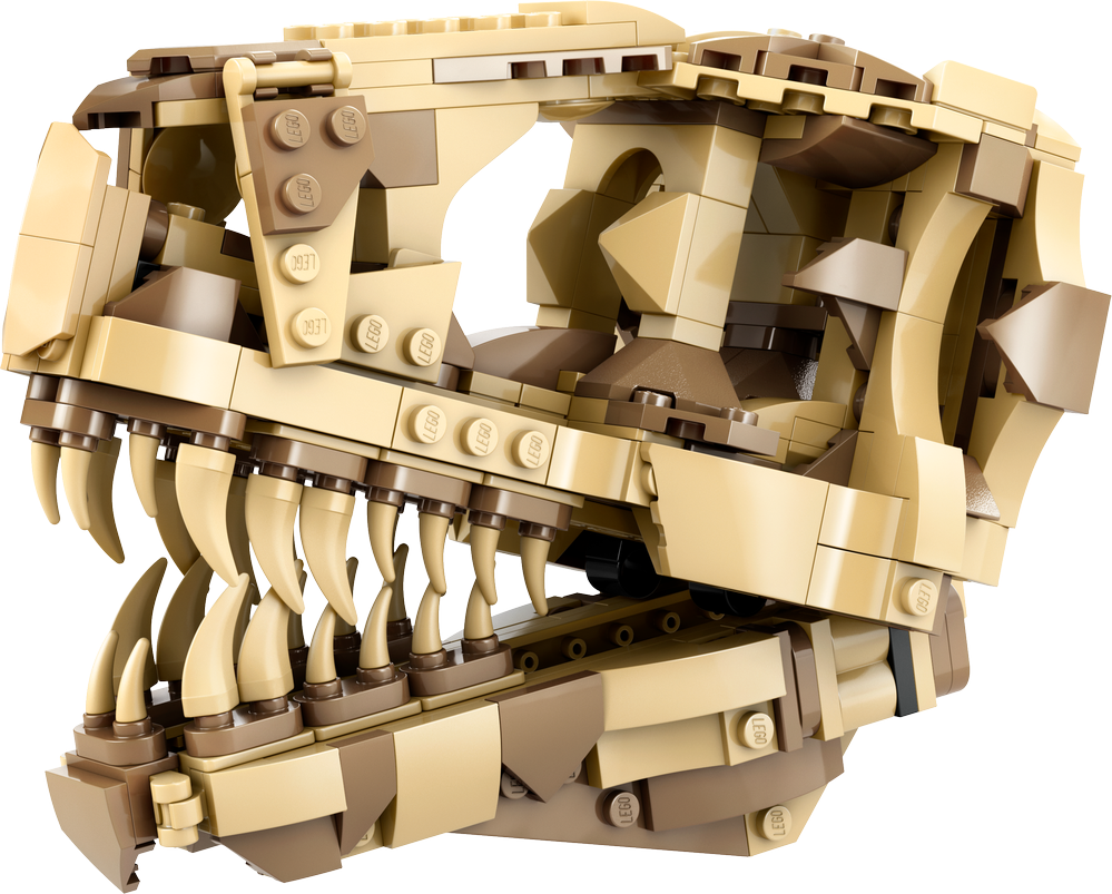 foto Stavebnice LEGO LEGO Jurassic World 76964 Dinosauří fosilie Lebka T-rexe