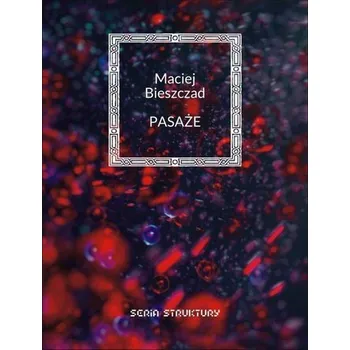 Cizojazyčná kniha Pasaże - Bieszczad Maciej