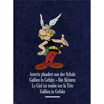 Asterix plaudert aus der Schule, Gallien in Gefahr, Gallien in Gefahr - Die Skizzen - Berner, Horst