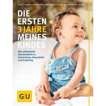 Die ersten 3 Jahre meines Kindes - Birgit Gebauer-Sesterhenn