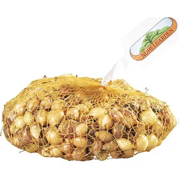 Cibulovina Nohel Garden Hercules cibule sazečka 500 g
