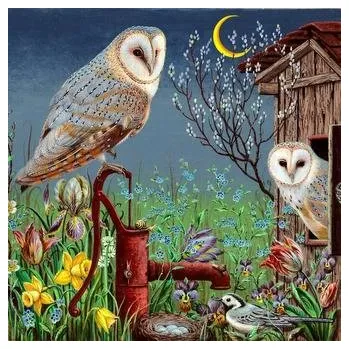 První čtění Kleine Vogel-Wunderkammer - Donst, Jesko