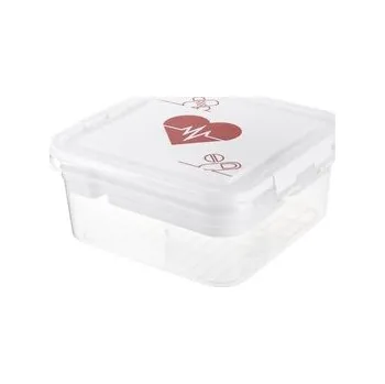 Úložný box Praktyczna box na léky 25 x 26 x 11 cm