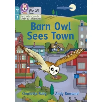 Anglický jazyk Barn Owl Sees Town - Raby, Charlotte