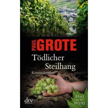 Tödlicher Steilhang - Grote, Paul