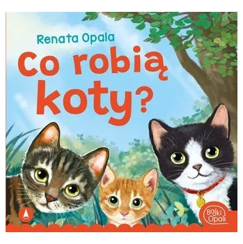 Pohádka Co robią koty? - Opala Renata