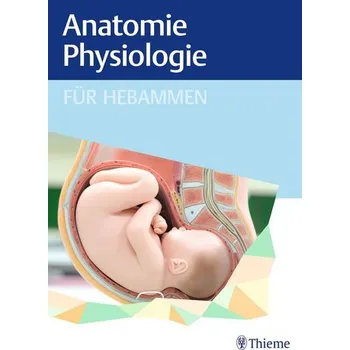 Anatomie und Physiologie für Hebammen