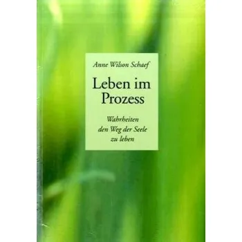 Leben im Prozess - Schaef, Anne Wilson