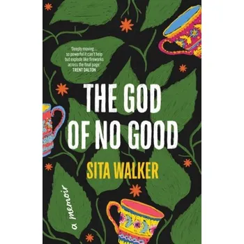 Beletrie pro dospělé The God of No Good - Walker, Sita