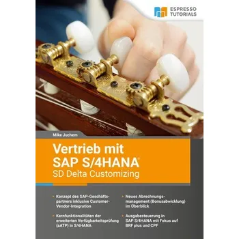 Vertrieb mit SAP S/4HANA - SD Delta Customizing - Juchem, Mike