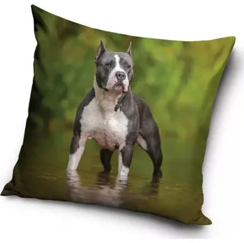 Polštář Povlak na polštář pes - pitbull (3)