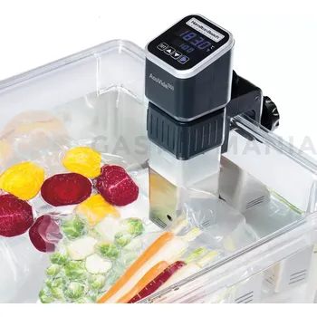 Čerpadlo Ponorné čerpadlo 1,2 kW | HAMILTON BEACH, ACUVIDE 1000