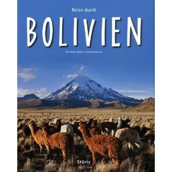 Cestování Reise durch Bolivien - Raach, Karl-Heinz