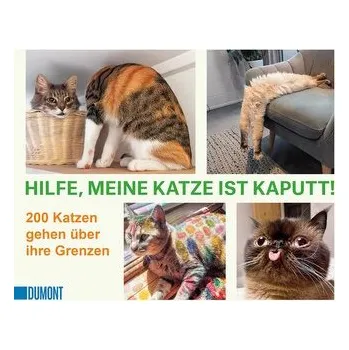 Komiks pro dospělé Hilfe, meine Katze ist kaputt