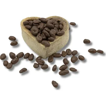 Sušené ovoce FITBOY Arašídy v mléčné čokoládě 500g 500g