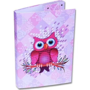 Školní batoh Školní box A4 Sova