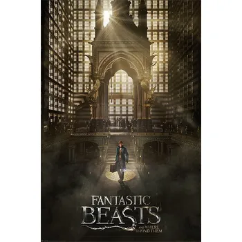 Plakát Fantastic Beasts - plakát Teaser 61x91cm