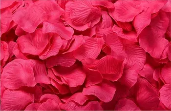 Svatební dekorace Medvídárek Okvětní lístky růže 800 ks růžové