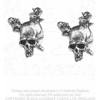 Náušnice Metallica náušnice, Damage