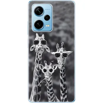 Pouzdro na mobilní telefon Odolné silikonové pouzdro iSaprio - Sunny Day - Xiaomi Redmi Note 12 Pro 5G / Poco X5 Pro 5G