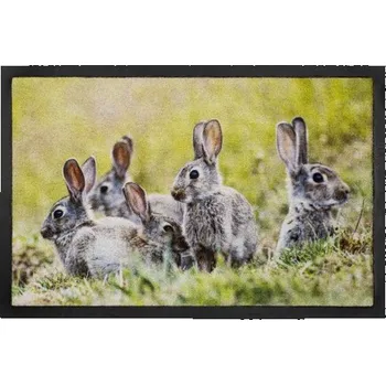 Rohožka Rohožka 585 Image 027 rabbits Rohožka Image 027 rabbits