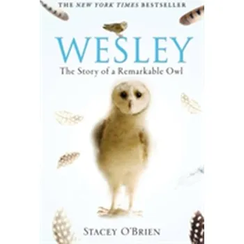 Literární biografie Wesley - O'Brien Stacey