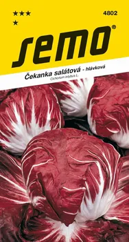 Semeno SEMO Čekanka salátová hlávková Palla rossa 3 50 ks