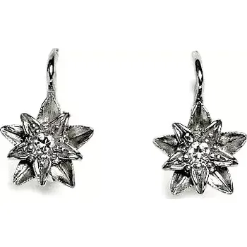 Náušnice Stříbrné náušnice hvězdy čiré zirkony - NK1465 (Stříbrné náušnice se zirkony)